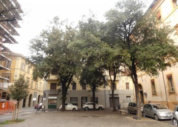 Ufficio Via Flavio Biondo, Forlì - foto 1