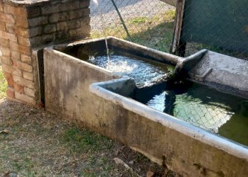 Apartment Bobbio - photo 3