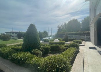 Magazzino Scandiano - foto 11