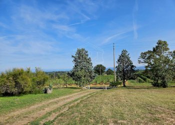 Cascina Cascina Nuova Cannona, Carpeneto - foto 6