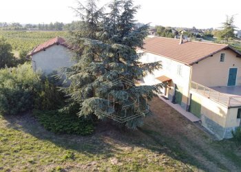 Cascina Cascina Nuova Cannona, Carpeneto - foto 7