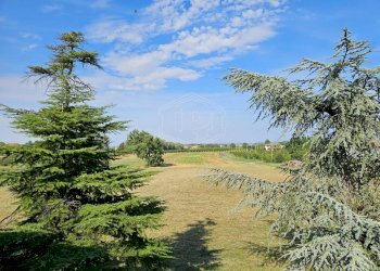 Cascina Cascina Nuova Cannona, Carpeneto - foto 32