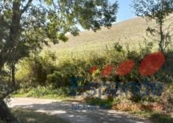 Rustico Santa Sofia - foto 9