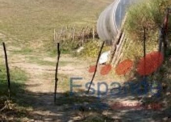 Rustico Santa Sofia - foto 15