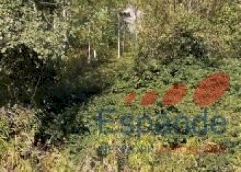 Rustico Santa Sofia - foto 16