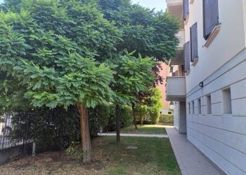 Giardino - Trilocale via Roma, Rolo - foto 22