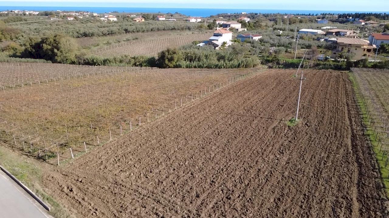 Immagine WhatsApp 2025-11-14 ore 12.05.27_9bffec01 - Terreno edificabile Contrada Codacchie 54, Rocca San Giovanni - foto 1