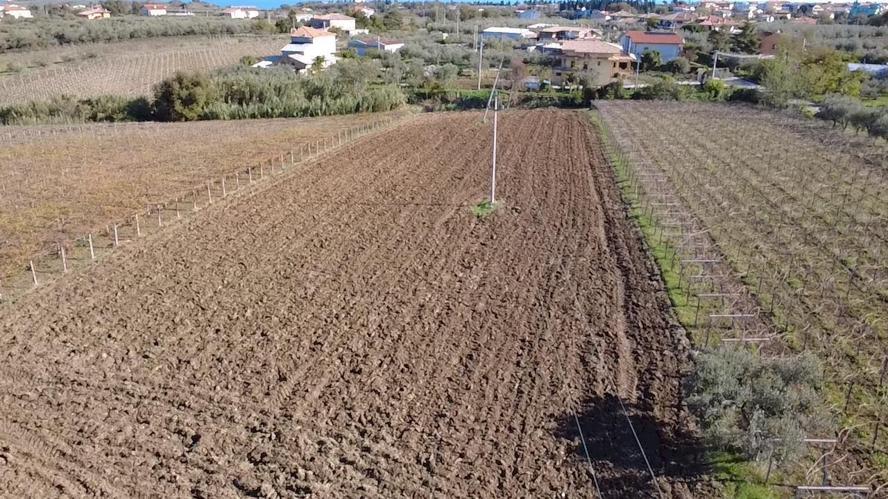 Immagine WhatsApp 2025-11-17 ore 18.27.06_ac3c717c - Terreno edificabile Contrada Codacchie 54, Rocca San Giovanni - foto 2