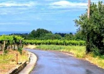 a76b16c1-29a3-41a8-8821-4bd928e5cfae.jpg - Terreno edificabile Contrada Codacchie 54, Rocca San Giovanni - foto 7