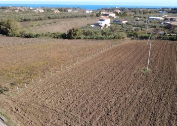 Immagine WhatsApp 2025-11-14 ore 12.05.27_9bffec01 - Terreno edificabile Contrada Codacchie 54, Rocca San Giovanni - foto 1