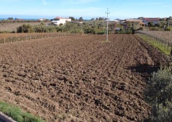 Immagine WhatsApp 2025-11-17 ore 18.27.51_0cfd2f57 - Terreno edificabile Contrada Codacchie 54, Rocca San Giovanni - foto 3