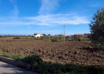 Immagine WhatsApp 2025-11-17 ore 18.27.43_a914dda2 - Terreno edificabile Contrada Codacchie 54, Rocca San Giovanni - foto 4