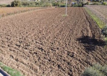 Immagine WhatsApp 2025-11-17 ore 18.28.02_8f55af30 - Terreno edificabile Contrada Codacchie 54, Rocca San Giovanni - foto 5