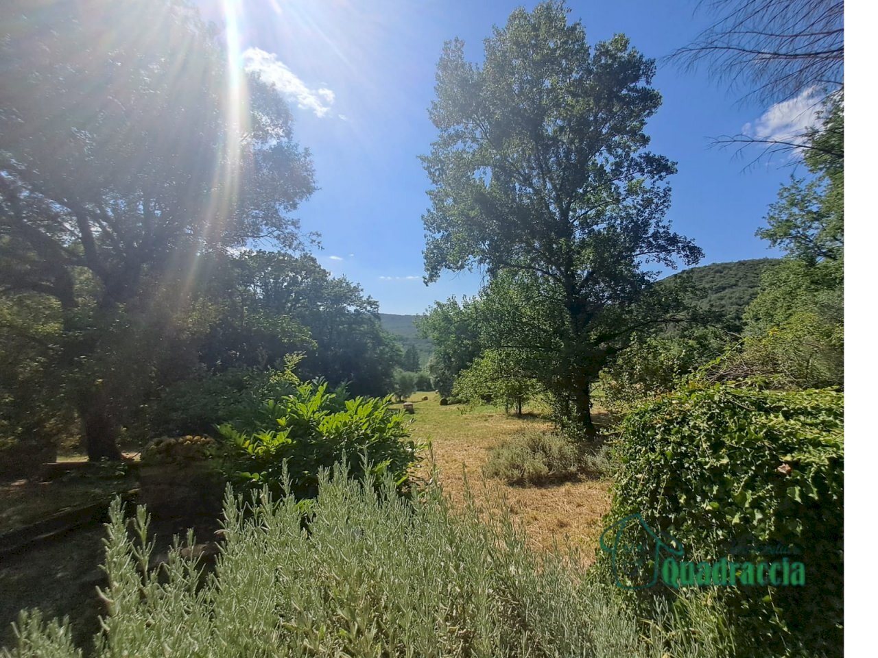 2.png - Casale strada amelia giove, Amelia - photo 2