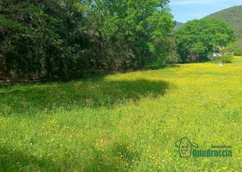 5.png - Casale strada amelia giove, Amelia - photo 5