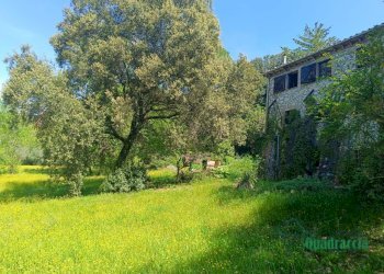 9.png - Casale strada amelia giove, Amelia - photo 9