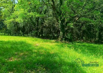 11.png - Casale strada amelia giove, Amelia - photo 11