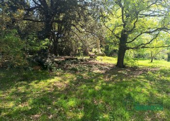 12.png - Casale strada amelia giove, Amelia - photo 12