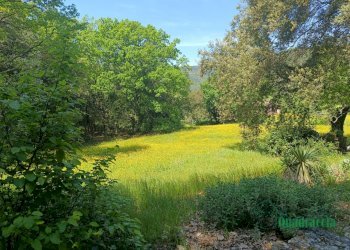 13.png - Casale strada amelia giove, Amelia - photo 13