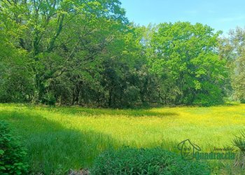 14.png - Casale strada amelia giove, Amelia - photo 14