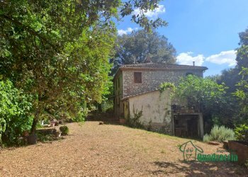 19.png - Casale strada amelia giove, Amelia - photo 19