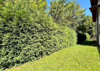 GIARDINO - Villa Località Rondetto, Chiusa di Pesio - foto 4