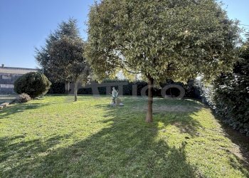 IMG_6182.jpeg - Rustico Via nazionale  915/25 RO, Bosaro - foto 8