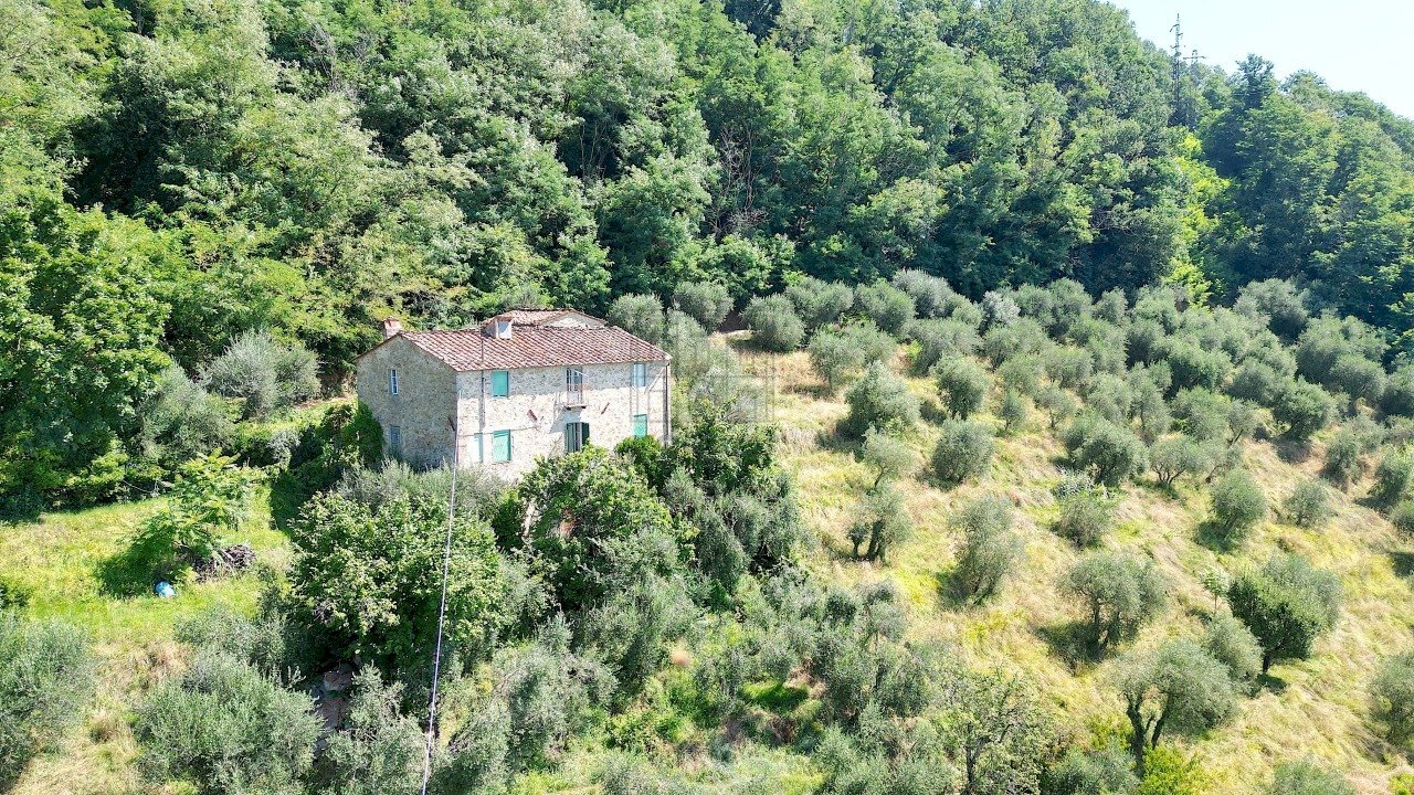 vendesi rustico con  giardino capannori luccaDJI_0 - Casale Via Tofori, Lucca - foto 3