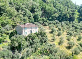 vendesi rustico con  giardino capannori luccaDJI_0 - Casale Via Tofori, Lucca - foto 3