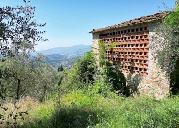 vendesi rustico con  giardino capannori luccaDJI_0 - Casale Via Tofori, Lucca - foto 5