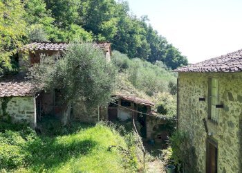 vendesi rustico con  giardino capannori luccaDJI_0 - Casale Via Tofori, Lucca - foto 6