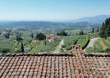 vendesi rustico con  giardino capannori luccaDJI_0 - Casale Via Tofori, Lucca - foto 8