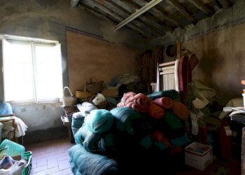 vendesi rustico con  giardino capannori luccaIMG_2 - Casale Via Tofori, Lucca - foto 18