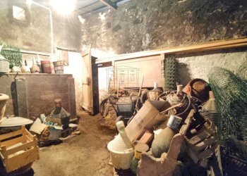 IMG_20240603_111756.jpg - Casale Via Tofori, Lucca - foto 22