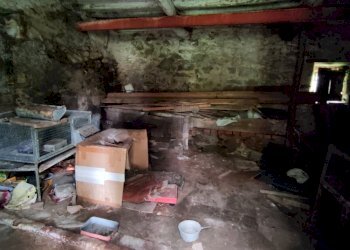 IMG_20240603_112211.jpg - Casale Via Tofori, Lucca - foto 23