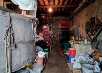 IMG_20240603_111716.jpg - Casale Via Tofori, Lucca - foto 24