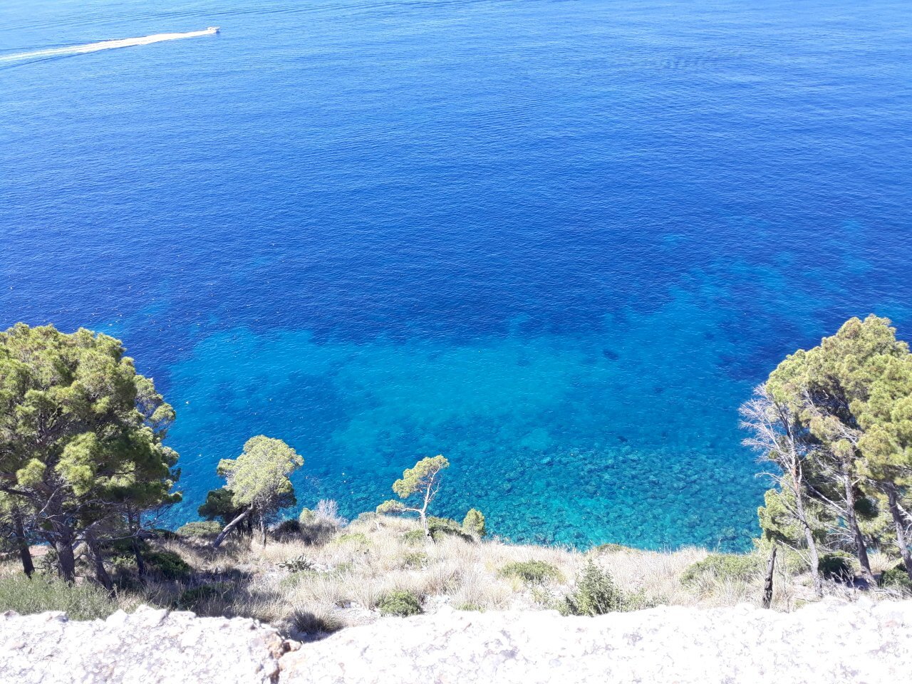 20190714_114159.jpg - Agricultural land Strada Statale 267, Montecorice - photo 1
