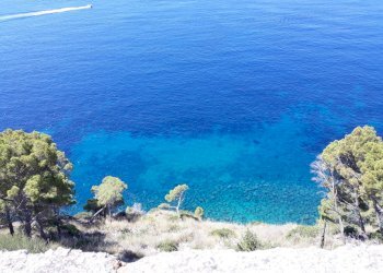 20190714_114159.jpg - Agricultural land Strada Statale 267, Montecorice - photo 1