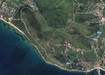 terreno scogliera.PNG - Agricultural land Strada Statale 267, Montecorice - photo 2