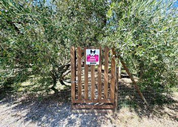 Trilocale via Aurelia Sud, 55., San Vincenzo - foto 44