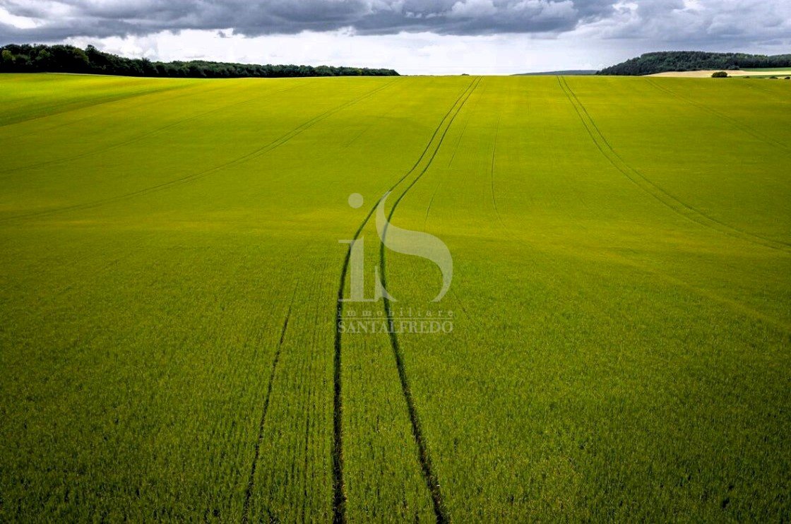 Vendita Terreno Agricolo - Terreno agricolo Volturara Appula - foto 3