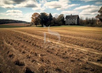 Vendita Terreno Agricolo - Terreno agricolo Volturara Appula - foto 5