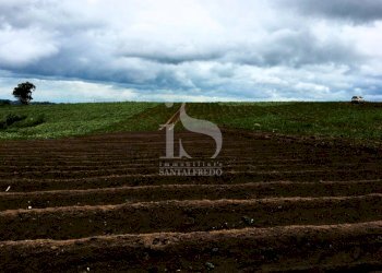 Vendita Terreno Agricolo - Terreno agricolo Volturara Appula - foto 6