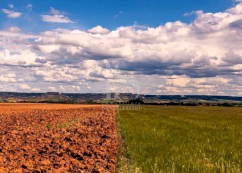 Vendita Terreno Agricolo - Terreno agricolo Volturara Appula - foto 7