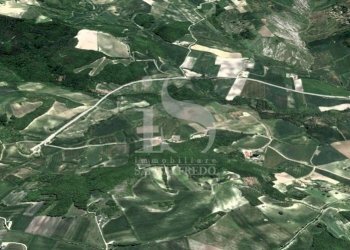 Vendita Terreno Agricolo - Terreno agricolo Volturara Appula - foto 9