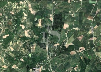 Vendita Terreno Agricolo - Terreno agricolo Volturara Appula - foto 10