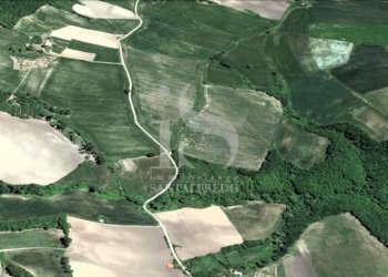 Vendita Terreno Agricolo - Terreno agricolo Volturara Appula - foto 13