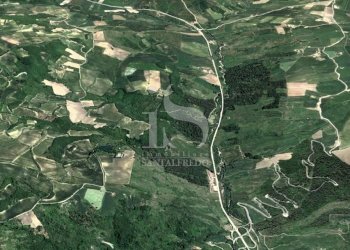 Vendita Terreno Agricolo - Terreno agricolo Volturara Appula - foto 15