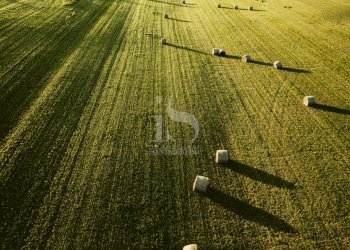 Vendita Terreno Agricolo - Terreno agricolo Volturara Appula - foto 17