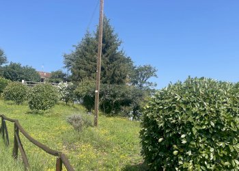 Independent house Asti - photo 2